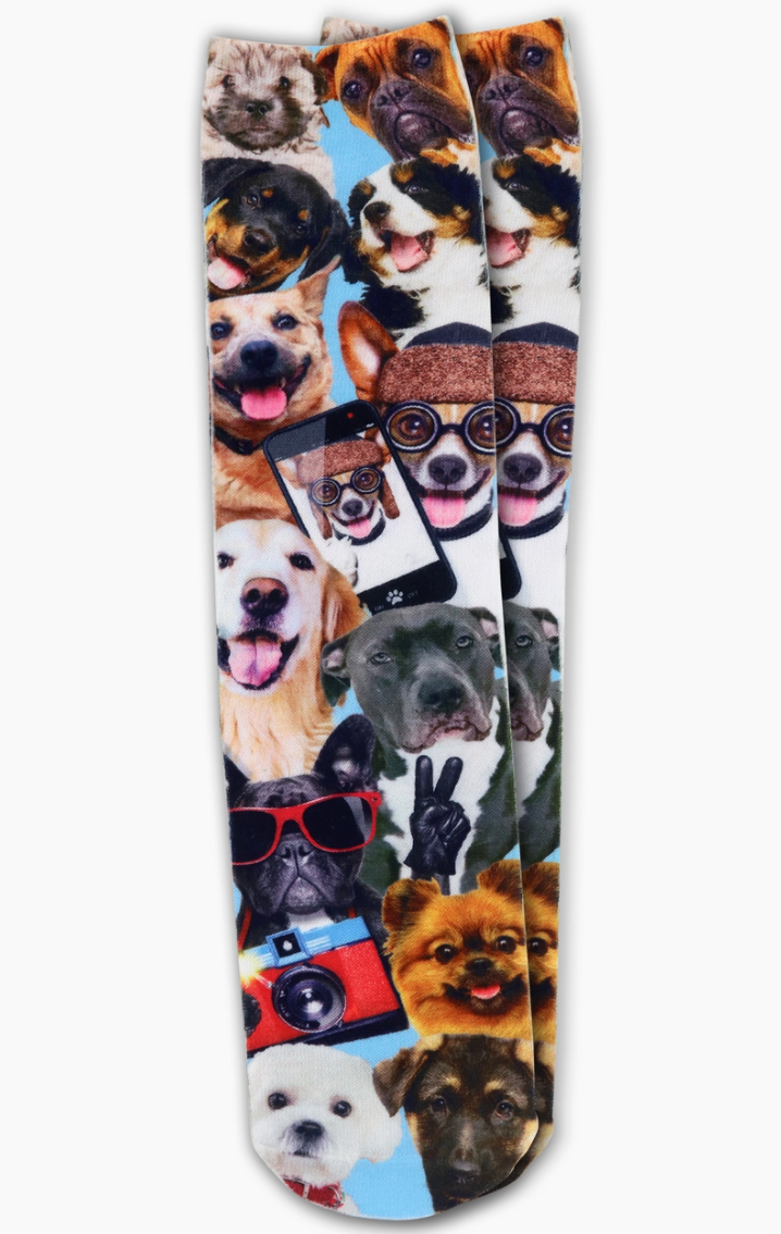 DOG SOCKS